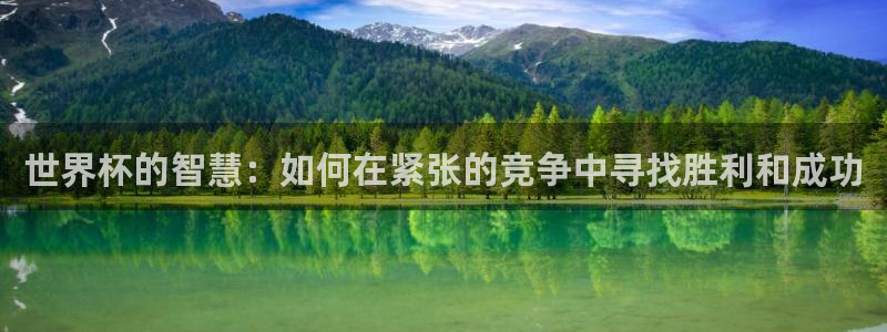 2026世预赛赛程：世界杯的智慧：如何在紧张的竞争中寻找胜利和成功