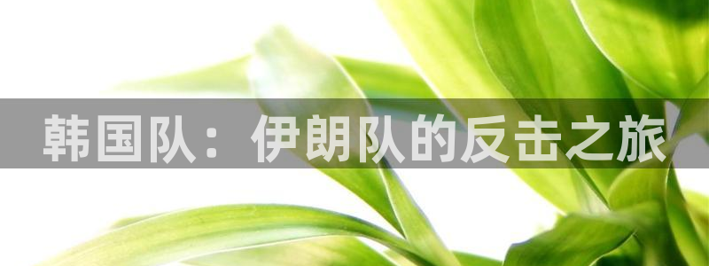 世界杯女足直播：韩国队：伊朗队的反击之旅