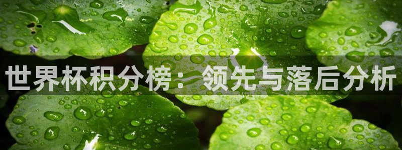 世界杯亚洲区预选赛赛程表：世界杯积分榜：领先与落后分析