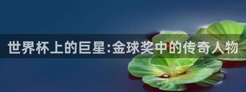世界杯直播高清：世界杯上的巨星:金球奖中的传奇人物