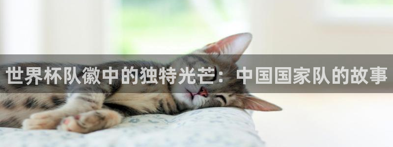2026世界杯日期：世界杯队徽中的独特光芒：中国国家队的故事
