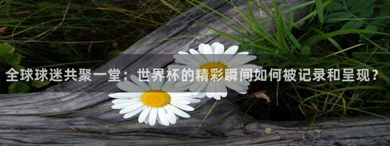 世界杯对阵表：全球球迷共聚一堂：世界杯的精彩瞬间如何被记录和呈现？