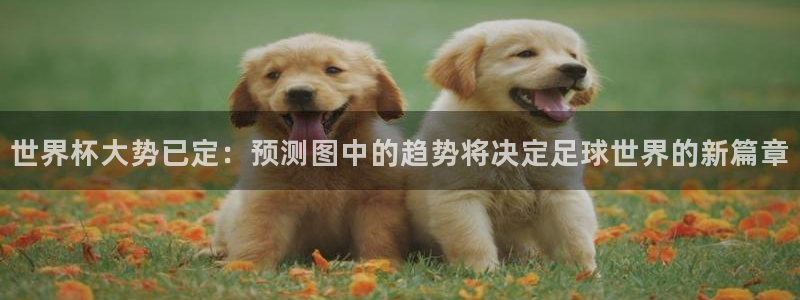 世界杯转播表：世界杯大势已定：预测图中的趋势将决定足球世界的新篇章