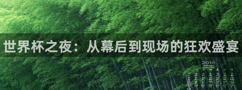 世俱杯直播：世界杯之夜：从幕后到现场的狂欢盛宴