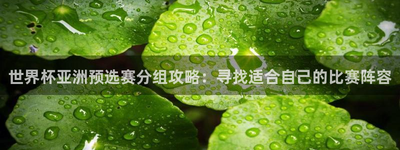 2026年世界杯直播平台：世界杯亚洲预选赛分组攻略：寻找适合自己的比赛阵容