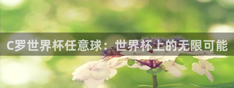 2026世界杯官网入口：C罗世界杯任意球：世界杯上的无限可能