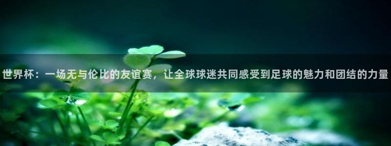 2026世界杯官网：世界杯：一场无与伦比的友谊赛，让全球球迷共同感受到足球的魅力和团结的力量