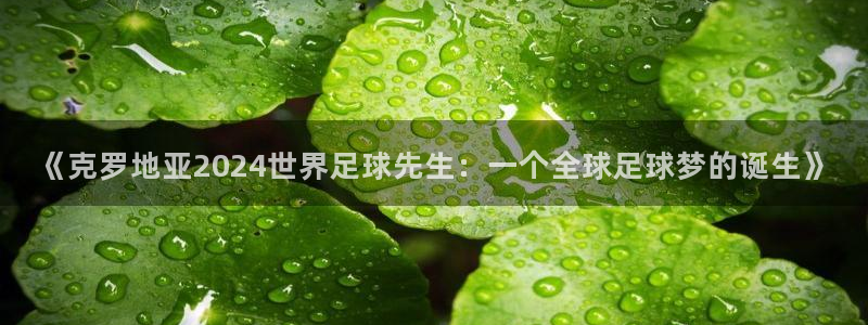 世界杯预选赛欧洲：《克罗地亚2024世界足球先生：一个全球足球梦的诞生》