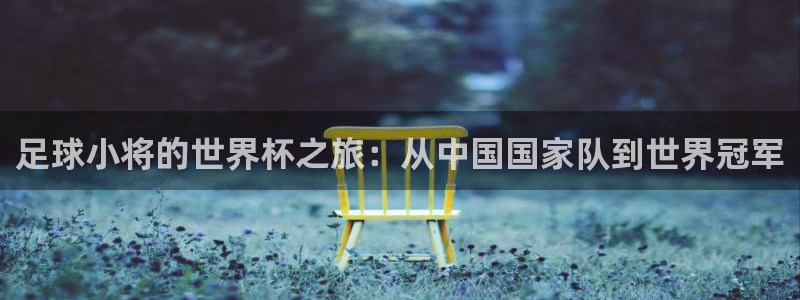 2026世界杯预选赛：足球小将的世界杯之旅：从中国国家队到世界冠军