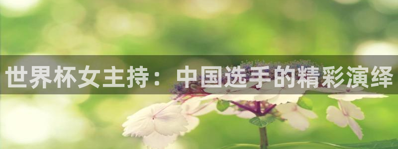 世界杯球队排名：世界杯女主持：中国选手的精彩演绎